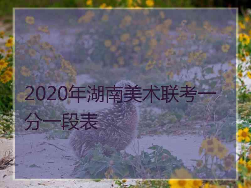 2020年湖南美术联考一分一段表