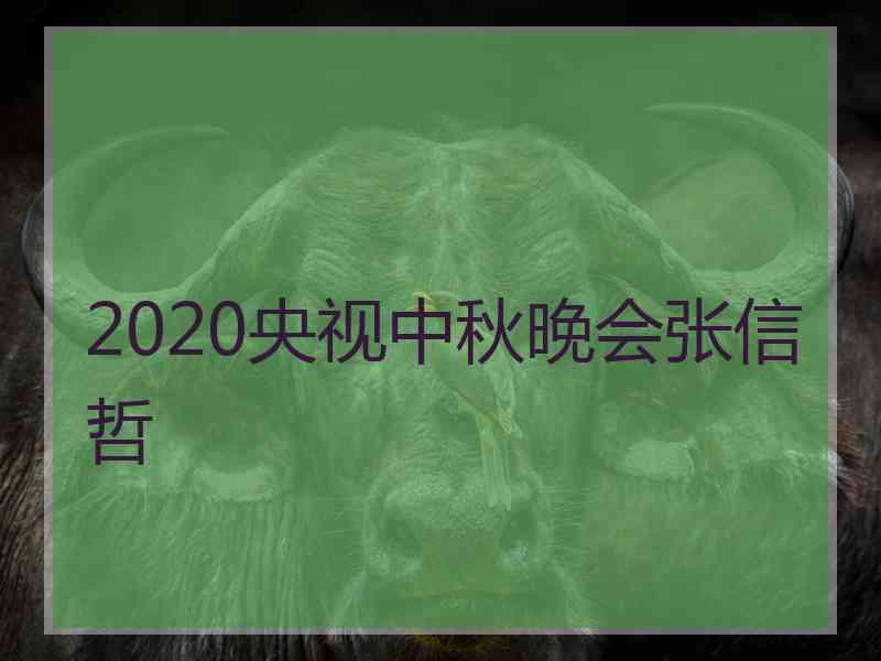 2020央视中秋晚会张信哲