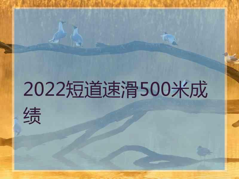 2022短道速滑500米成绩