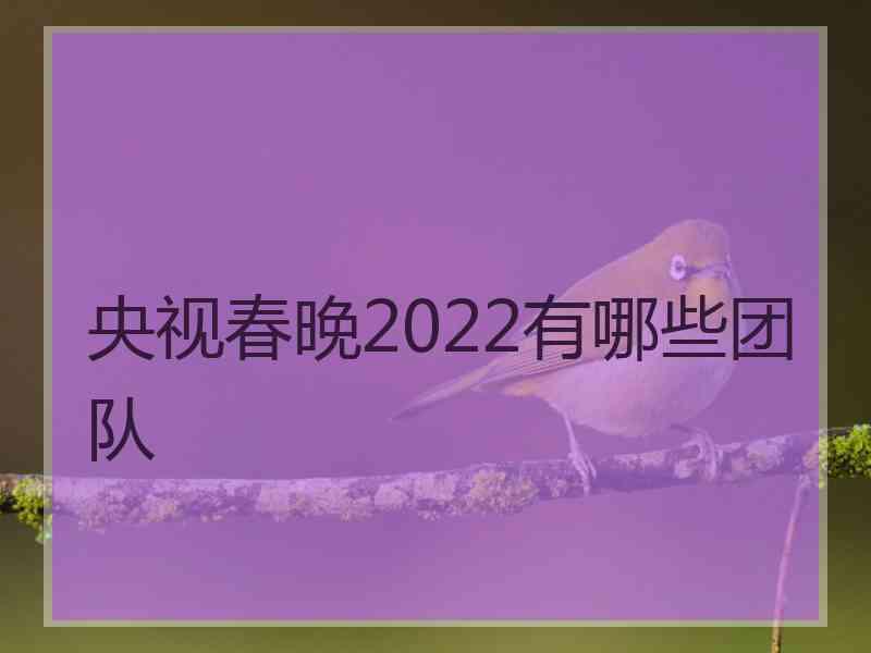 央视春晚2022有哪些团队