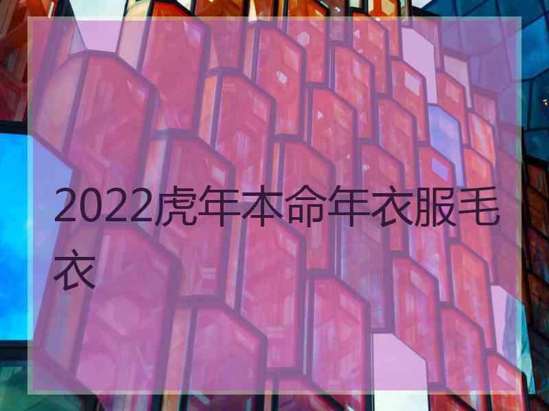 2022虎年本命年衣服毛衣