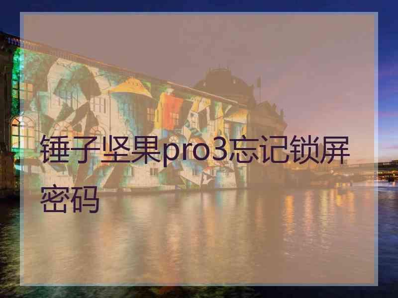 锤子坚果pro3忘记锁屏密码