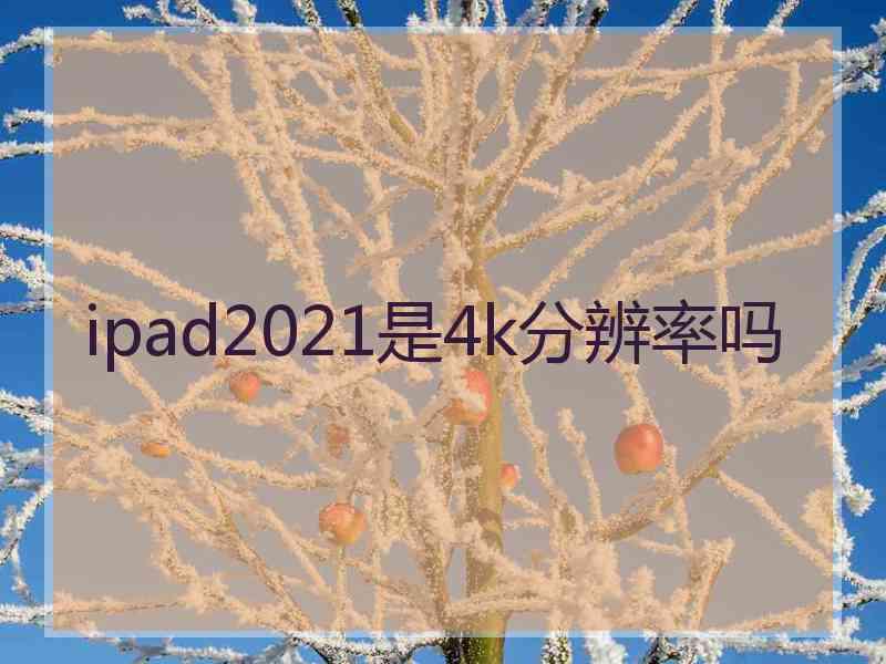 ipad2021是4k分辨率吗