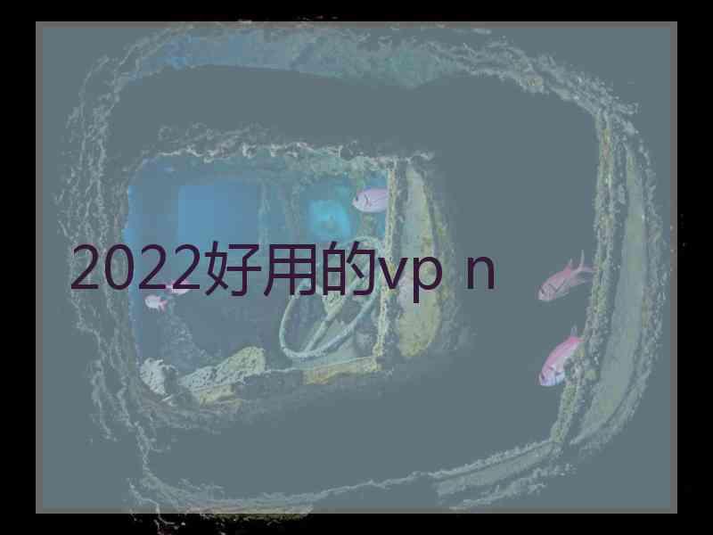 2022好用的vp n