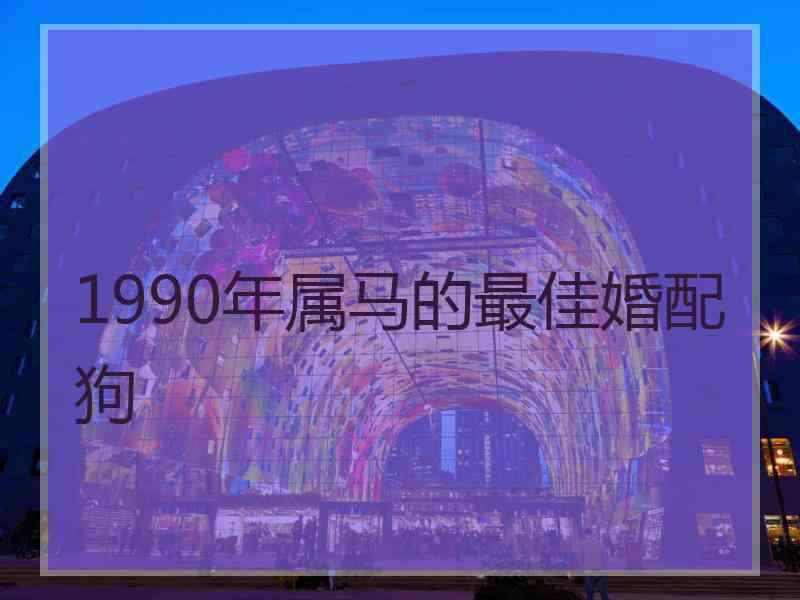 1990年属马的最佳婚配狗