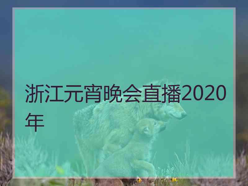 浙江元宵晚会直播2020年