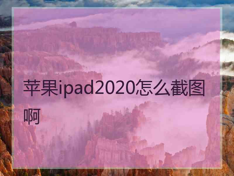 苹果ipad2020怎么截图啊