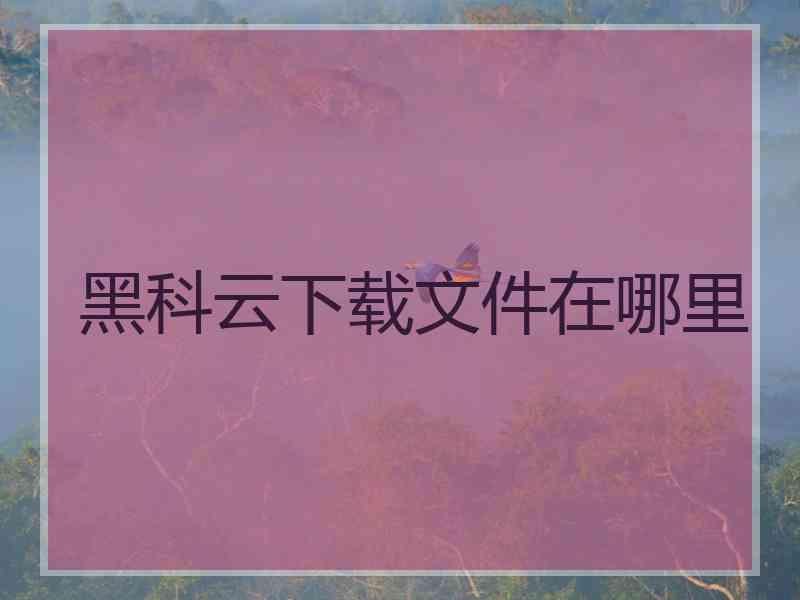 黑科云下载文件在哪里