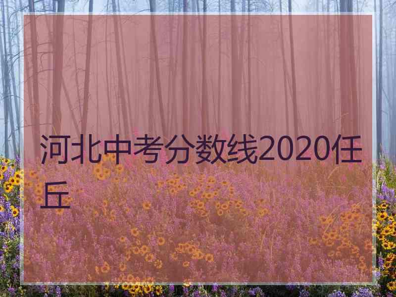 河北中考分数线2020任丘