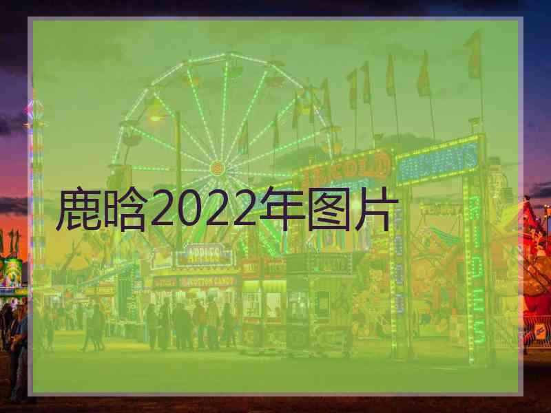 鹿晗2022年图片