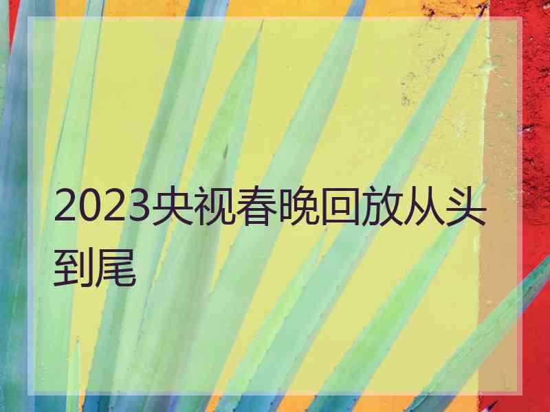 2023央视春晚回放从头到尾