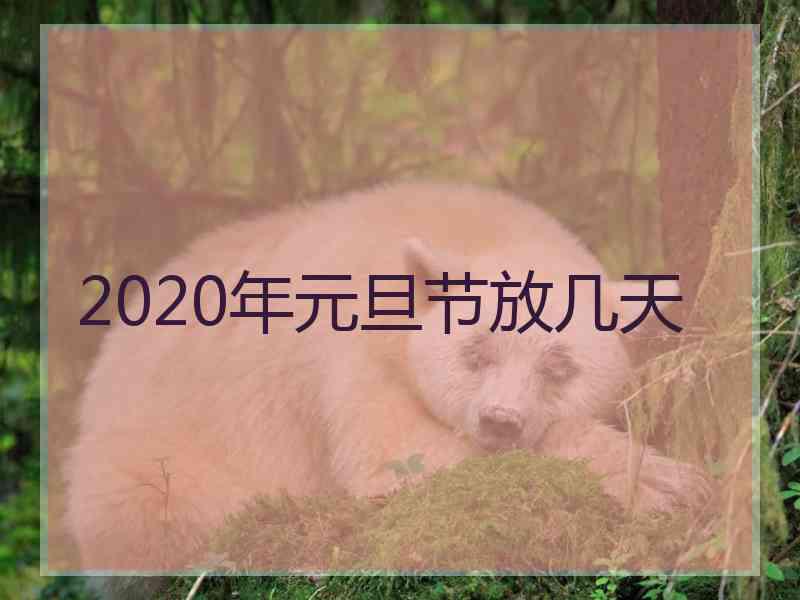 2020年元旦节放几天