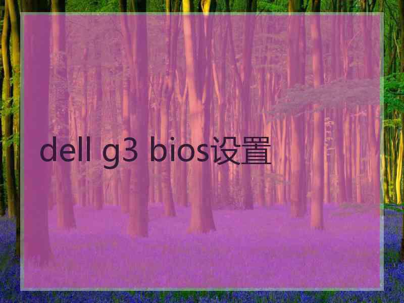 dell g3 bios设置