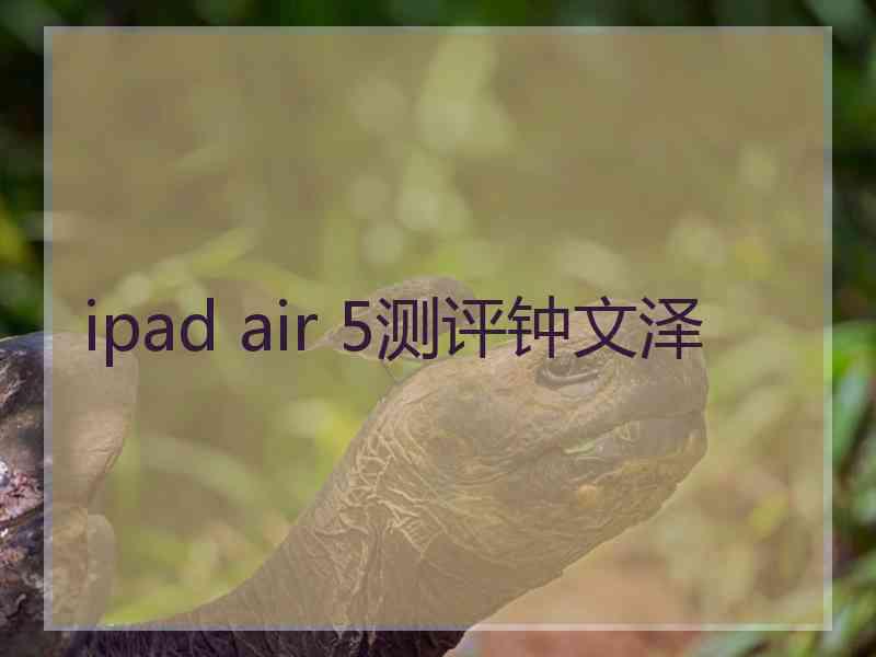 ipad air 5测评钟文泽