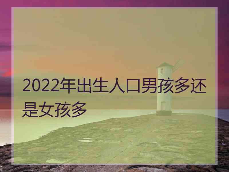 2022年出生人口男孩多还是女孩多