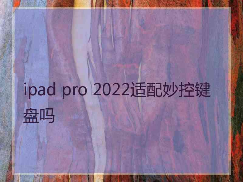 ipad pro 2022适配妙控键盘吗