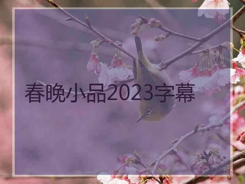 春晚小品2023字幕