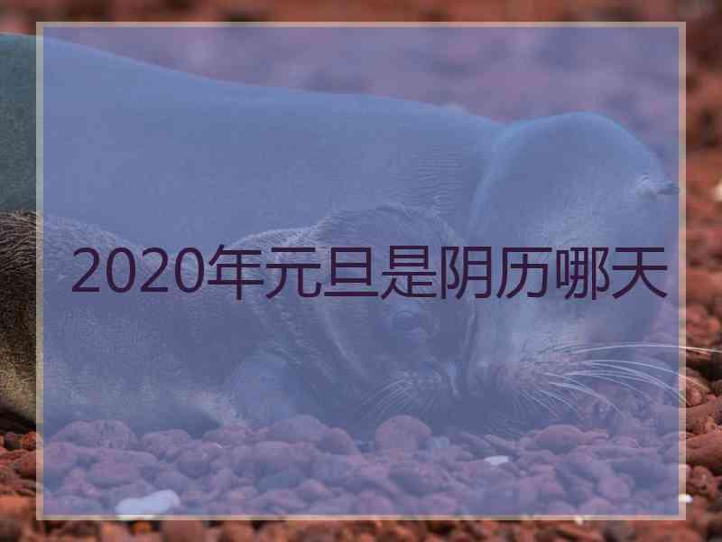 2020年元旦是阴历哪天