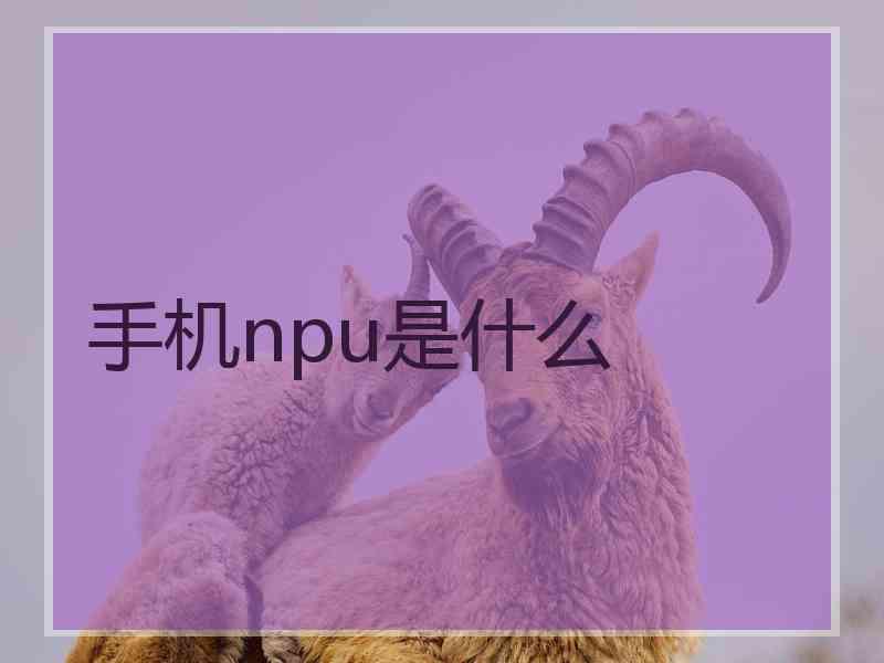 手机npu是什么