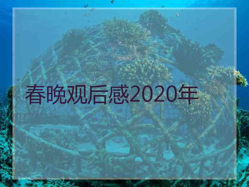 春晚观后感2020年