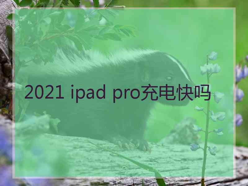 2021 ipad pro充电快吗