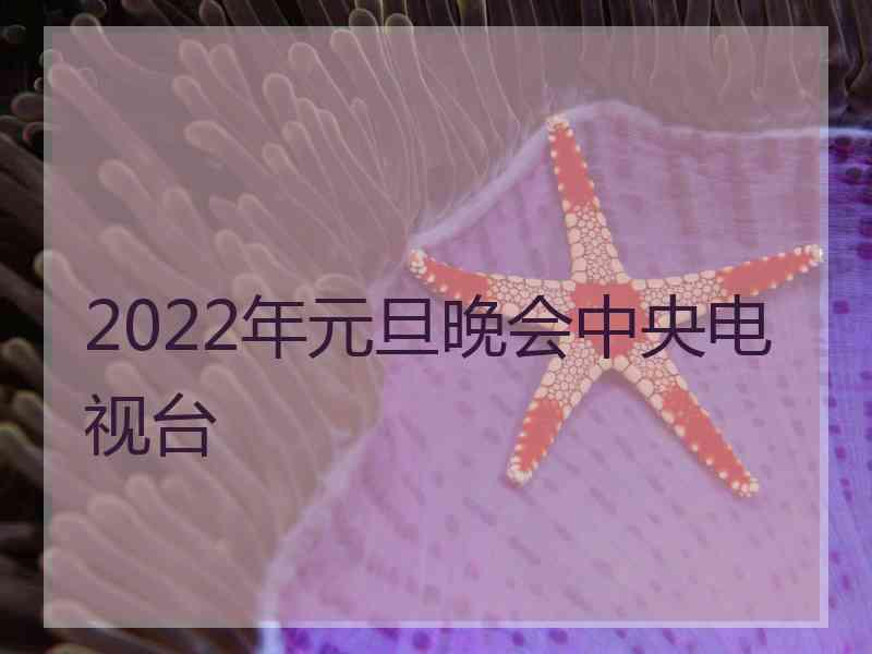 2022年元旦晚会中央电视台