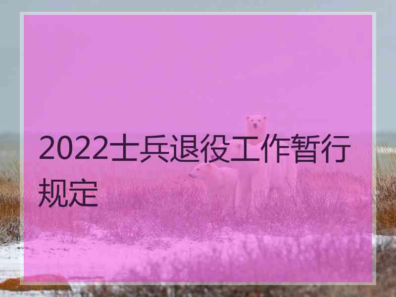 2022士兵退役工作暂行规定