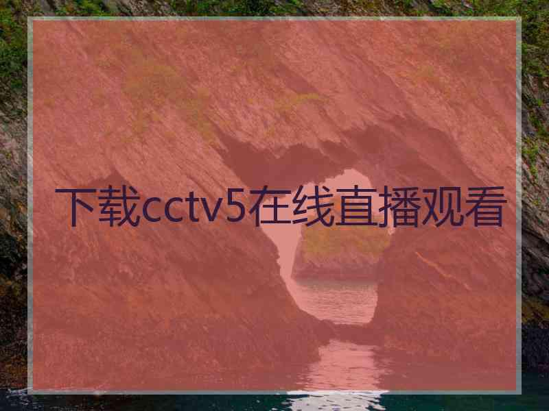 下载cctv5在线直播观看