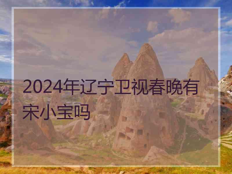 2024年辽宁卫视春晚有宋小宝吗