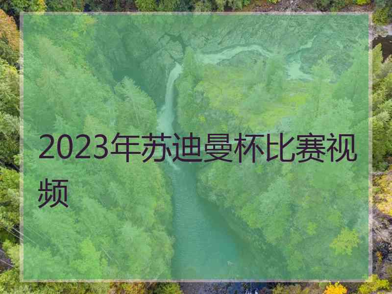 2023年苏迪曼杯比赛视频