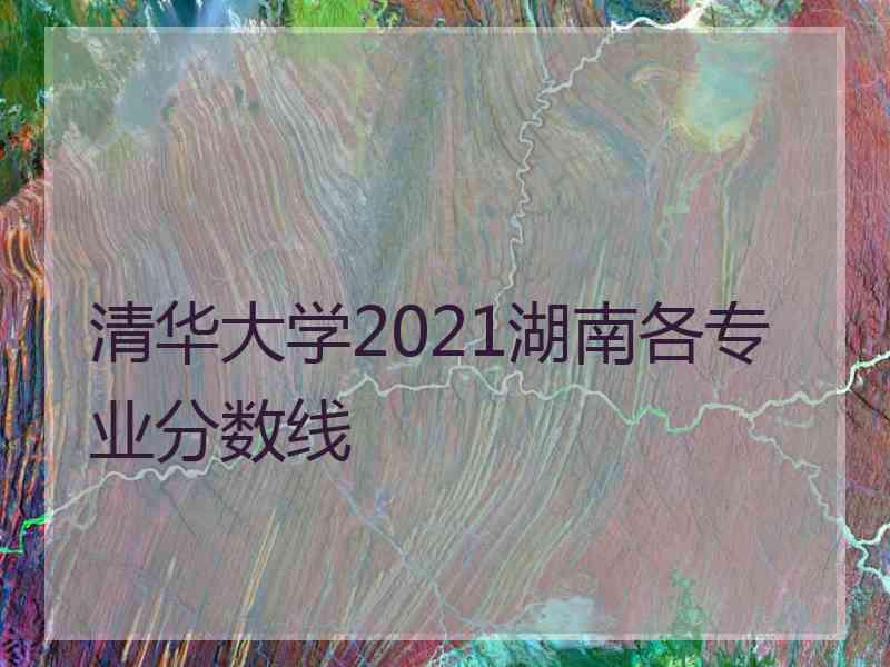 清华大学2021湖南各专业分数线