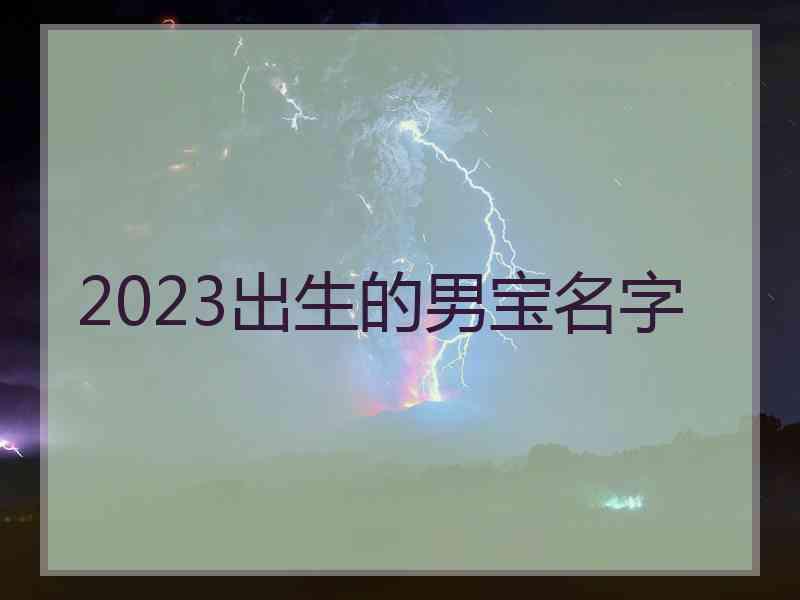 2023出生的男宝名字