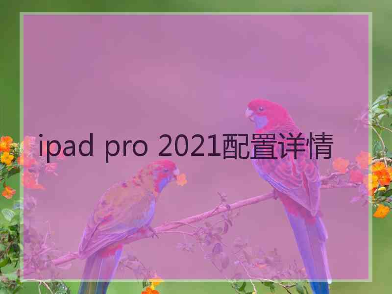 ipad pro 2021配置详情