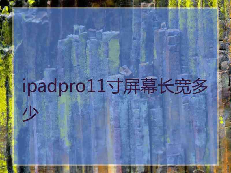 ipadpro11寸屏幕长宽多少