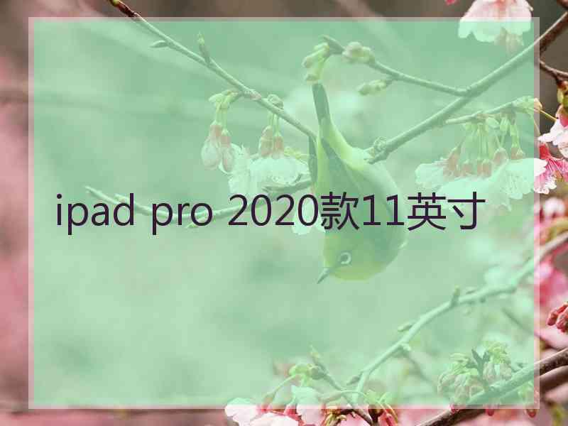 ipad pro 2020款11英寸