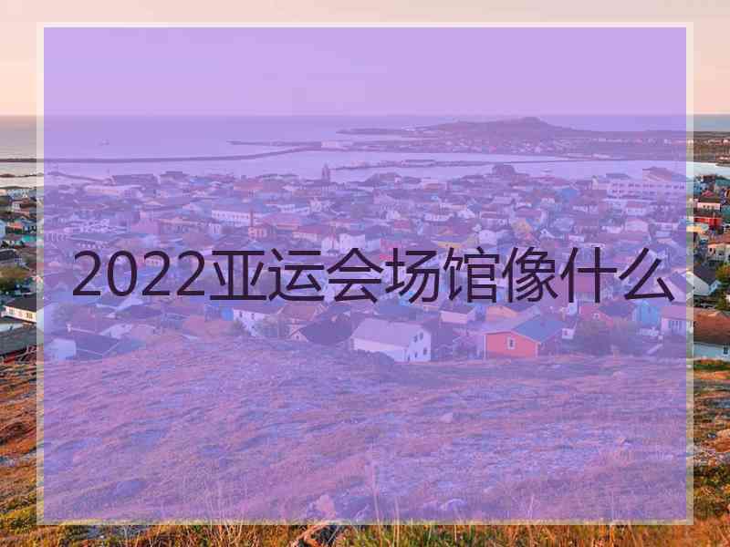 2022亚运会场馆像什么