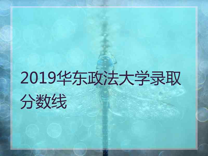 2019华东政法大学录取分数线