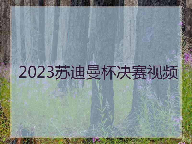 2023苏迪曼杯决赛视频