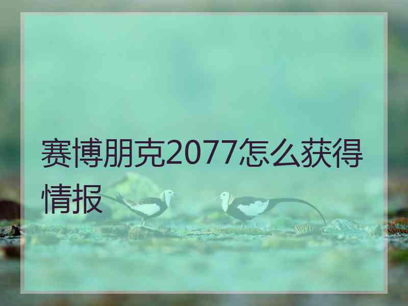 赛博朋克2077怎么获得情报