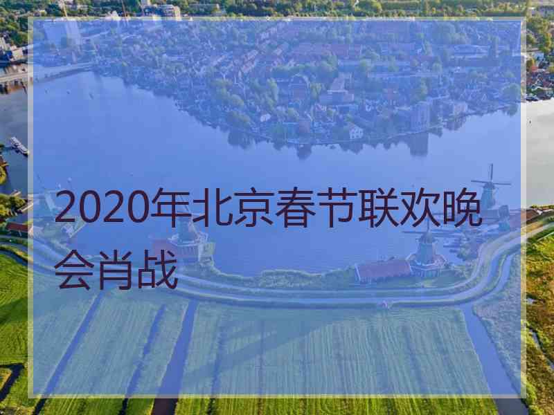 2020年北京春节联欢晚会肖战