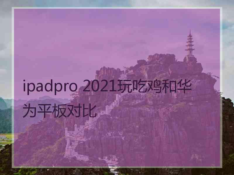 ipadpro 2021玩吃鸡和华为平板对比