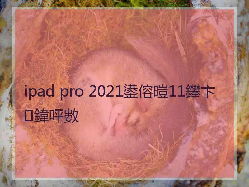 ipad pro 2021鍙傛暟11鑻卞鍏呯數