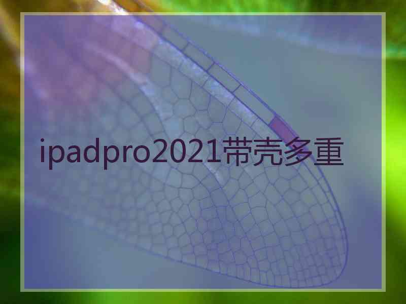 ipadpro2021带壳多重