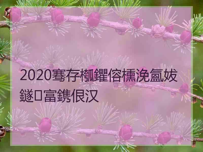 2020骞存槬鑺傛櫄浼氳妭鐩富鎸佷汉