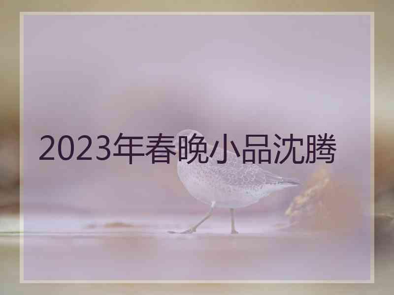 2023年春晚小品沈腾