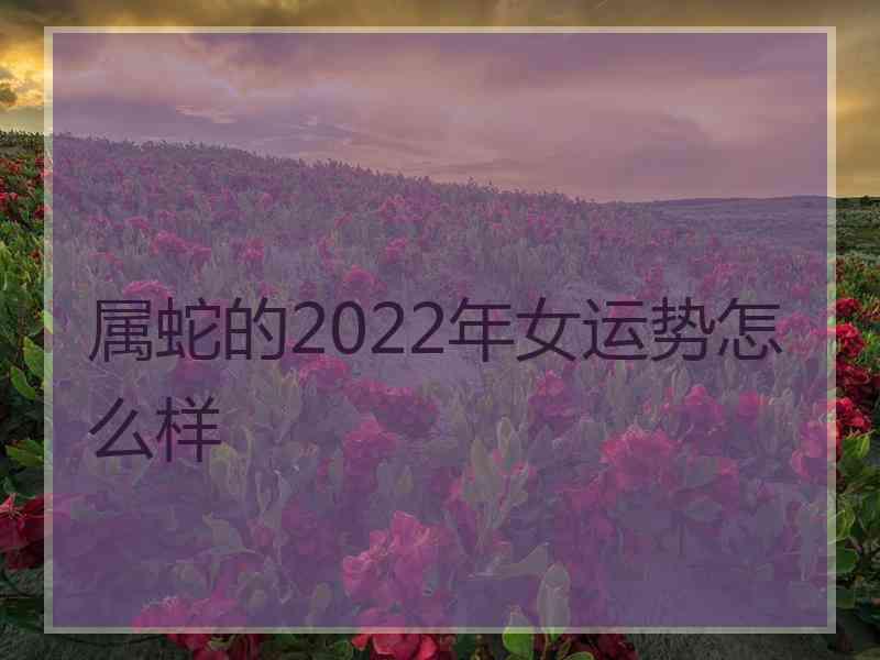 属蛇的2022年女运势怎么样