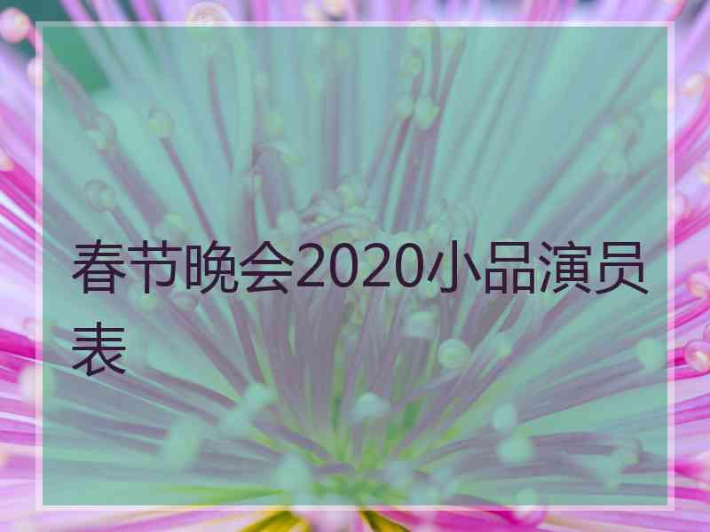 春节晚会2020小品演员表