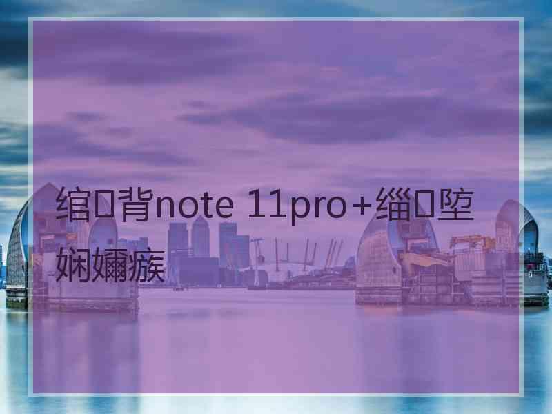 绾㈢背note 11pro+缁埅娴嬭瘯