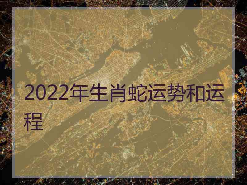 2022年生肖蛇运势和运程