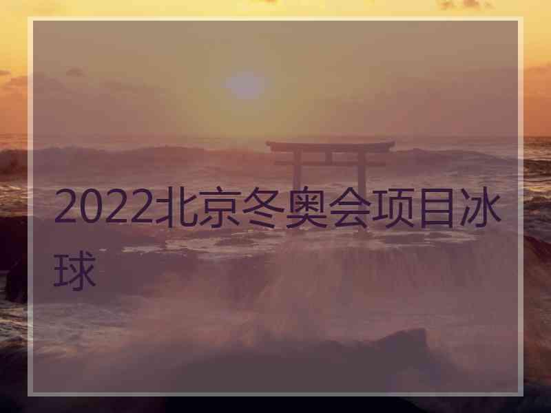 2022北京冬奥会项目冰球